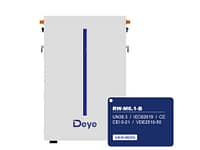 Deye RW-M6.1